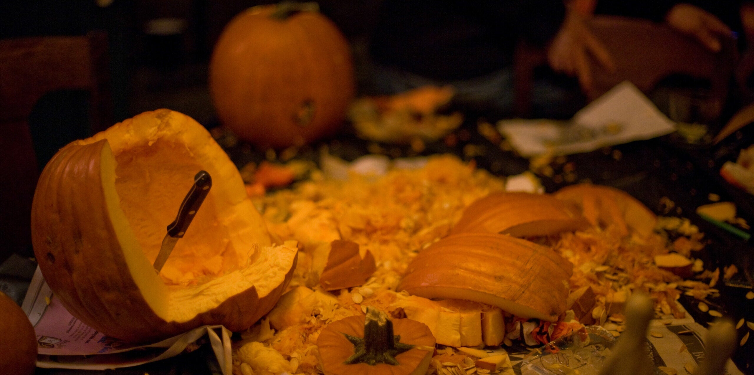 Don’t Get Spooked about Post Halloween Clean-Up