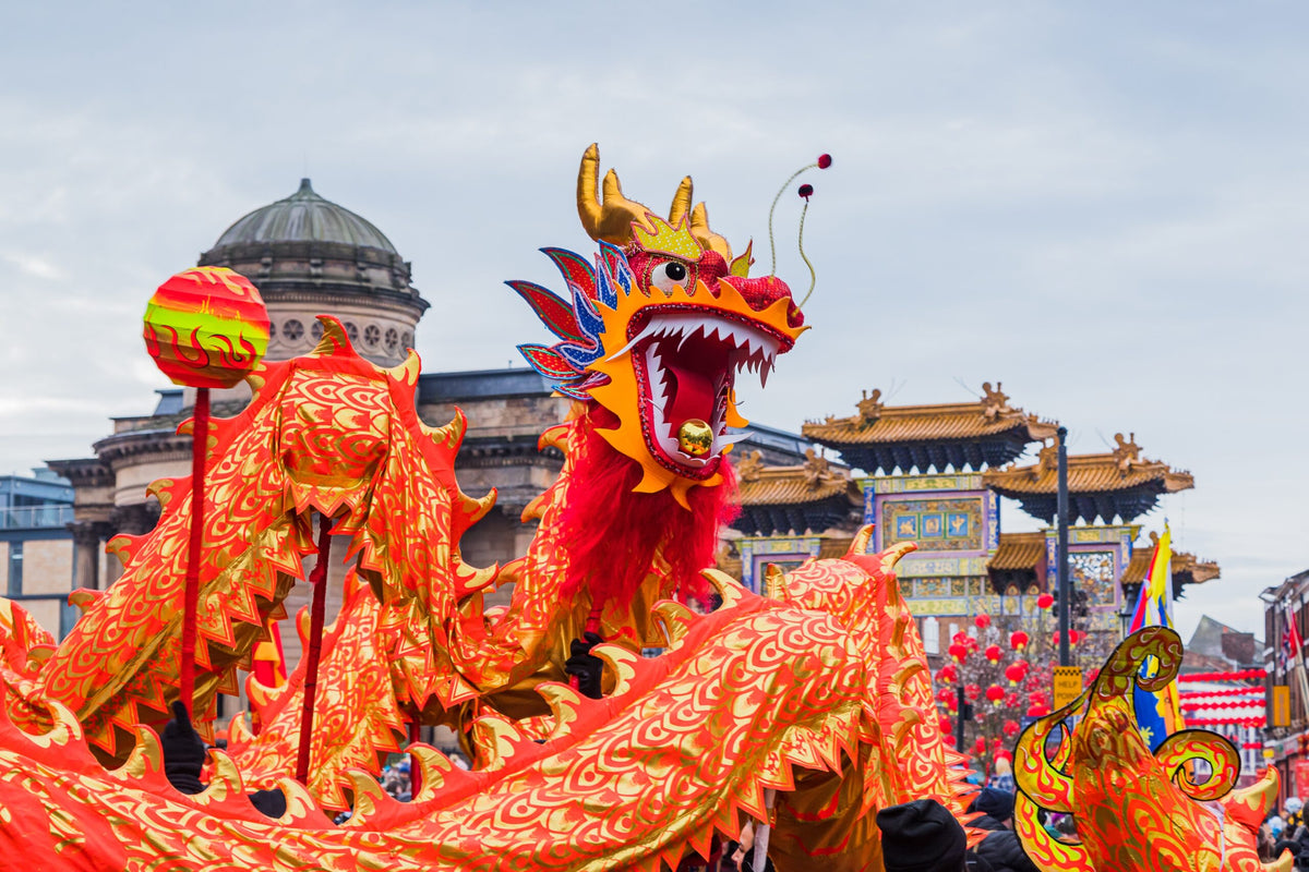 Lunar New Year: How to Clean Up After Your Dragon
