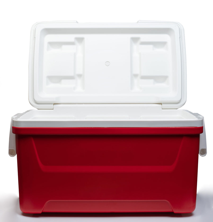 How to Clean Up Your Cooler with BKF