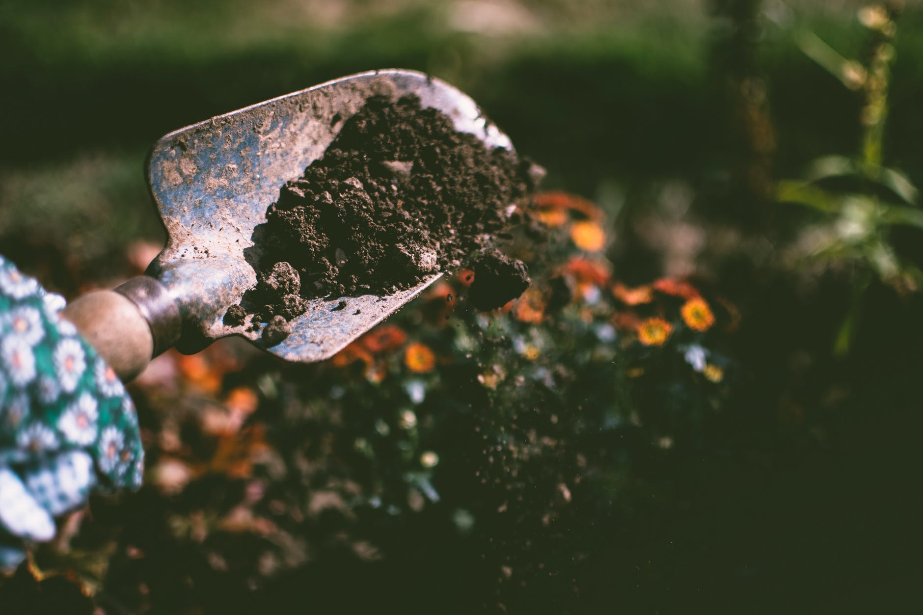 cleaning garden tools - image 2