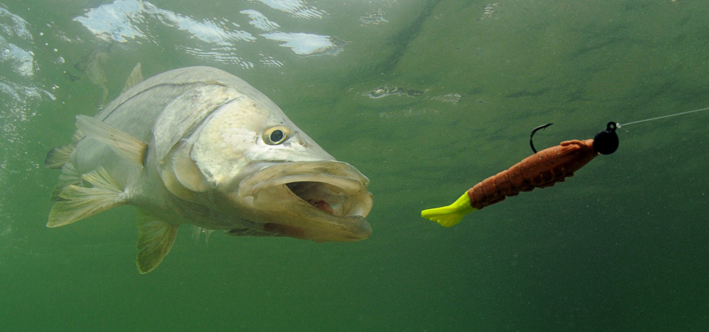 How to Make Old Lures New Again