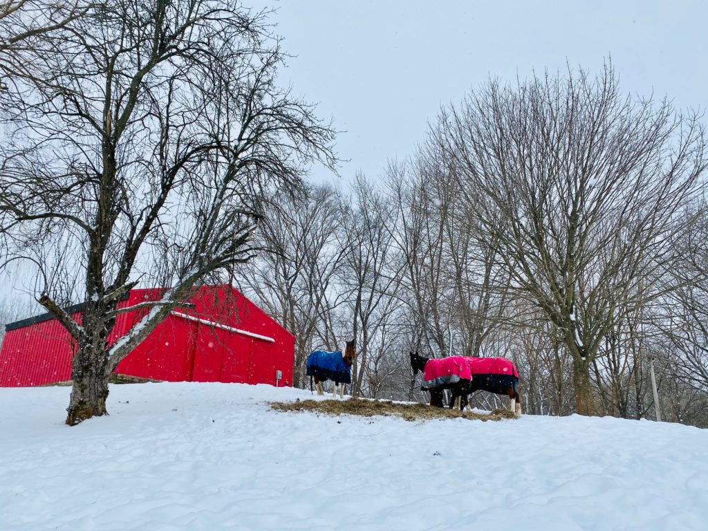 Red Barn in winter